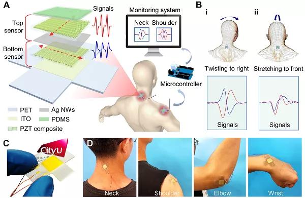 香港城大楊征保課題組Science子刊：一種新型柔性壓電陶瓷剪紙，用于預防關節疾病